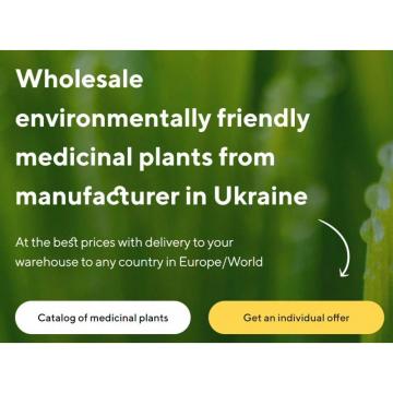 Sale of medicinal plants in bulk from the manufacturer at the best prices