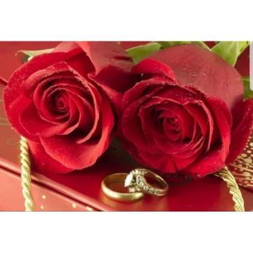 velika ponuda dama za druzenje,upoznavanje