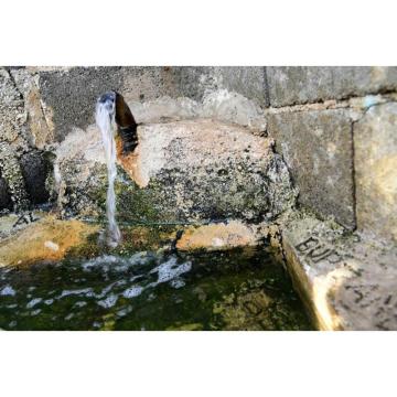 Čudotvorna lekovita voda za obolele od kancera