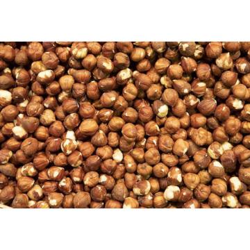 Na prodaju očišceni LEŠNIK   