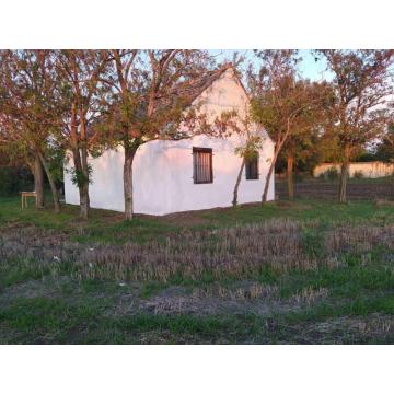 Salaš sa izlazom Jegricku 