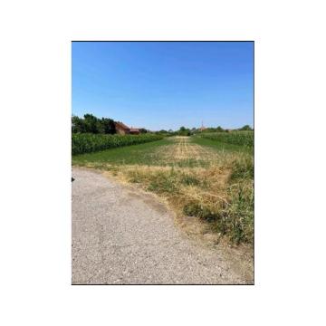 Plac u centru Surduka 