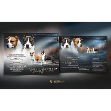 Štenci Američkog stafordskog terijera 