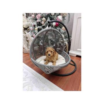 PUDLE preslatke, malene bebice 