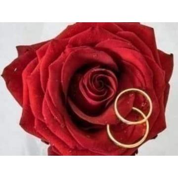 velika ponuda dama za druzenje,upoznavanje,vezu i brak.