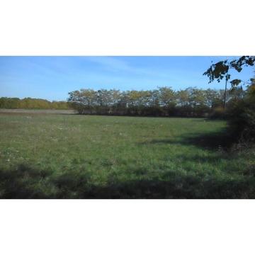 savrseno za investiciju