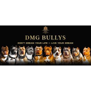 Radnik u odgajivačnici pasa