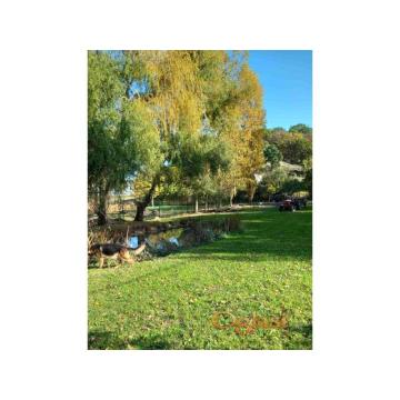 Prodaje se atraktivan plac u Zanošu. Petrovaradin, Sremski Karlovci, Novi Sad.   