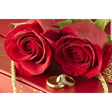 velika ponuda predloga za druženje,upoznavanje,vezu i brak