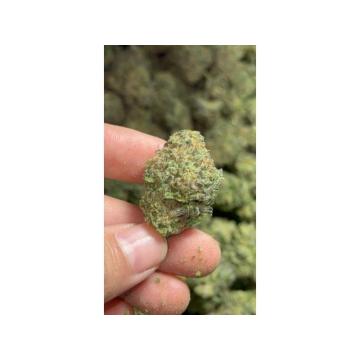 Kvalitetno ulje marihuane i marihuana