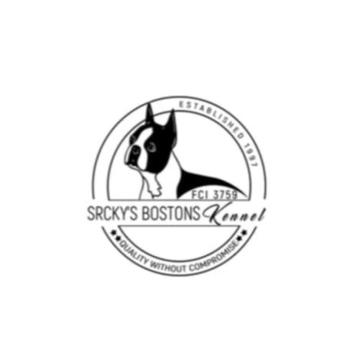 Boston terrier stenad
