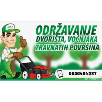 Uredjenje dvorista najbolji u gradu (Nikola)