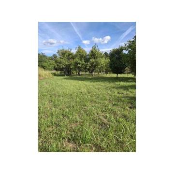 Prodajem plac u Krnjaci