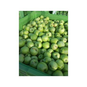 Jabuke - prodaja na veliko, greni smit