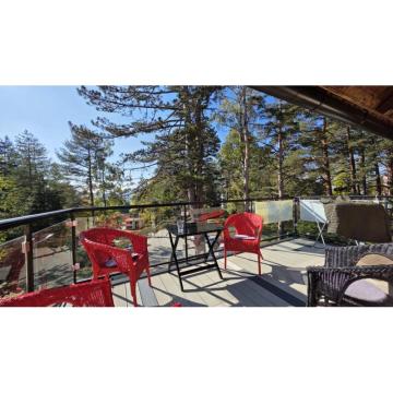 Dvosoban stan Kiridzijska Zlatibor