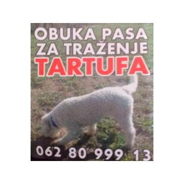 Psi za trazenje tartufa -Tartufari