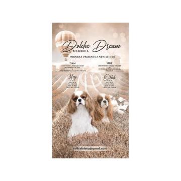 Kavalijer španijel kralja Čarlsa