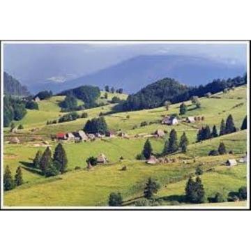 CRNA GORA PLJEVLJA -ZABRĐE KUĆA 80m2 + livada+voćnjak + jaruga
