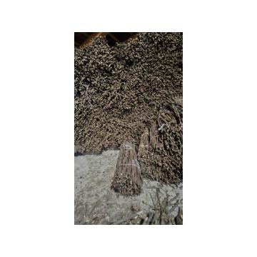 Isečena Loza 1 KLASE za Kalemljenje