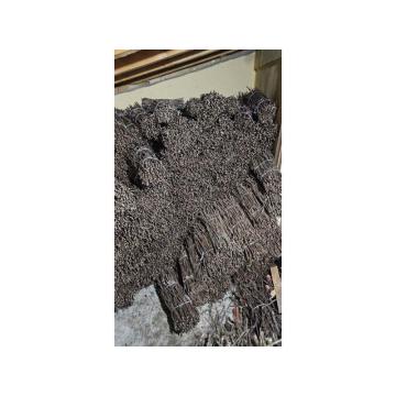 NA PRODAJU: Isečena Loza 1 KLASE za Kalemljenje (Kober BB)