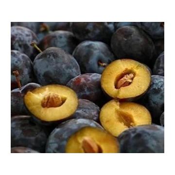 Rezervacije u toku za sadnju voćnih sadnica