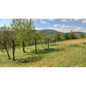 Na prodaju poljoprivredno zemljište, selo Jazak 