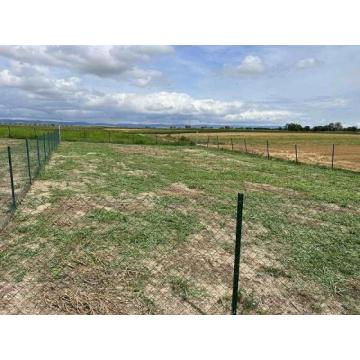 Na prodaju dva placa u Rumi na putu za Vrdnik  